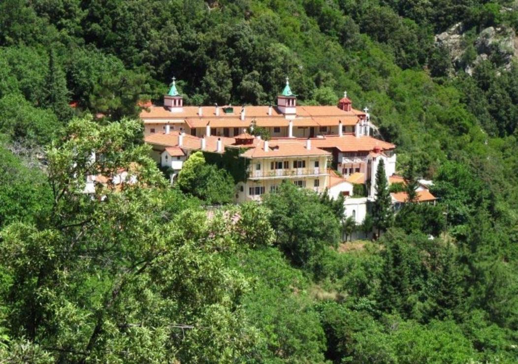 Ilias Appartements Tsaprounis Ellinika  Exteriér fotografie